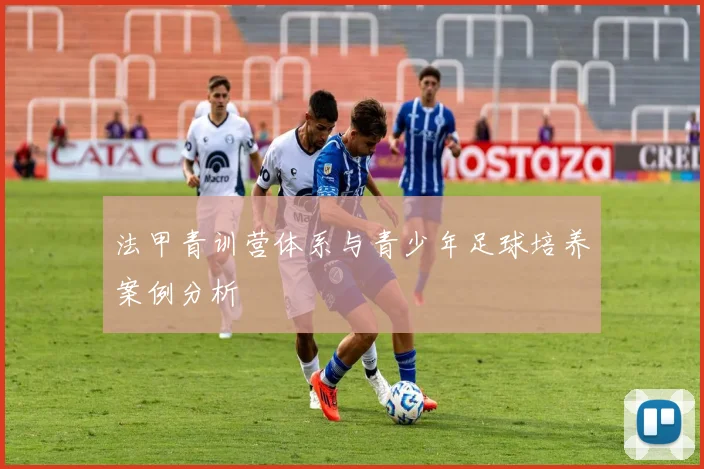 法甲青训营体系与青少年足球培养案例分析